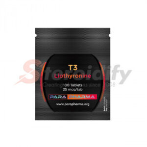 T3